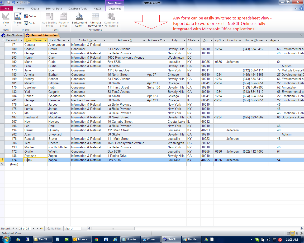 NetCIL Spreadsheet view.